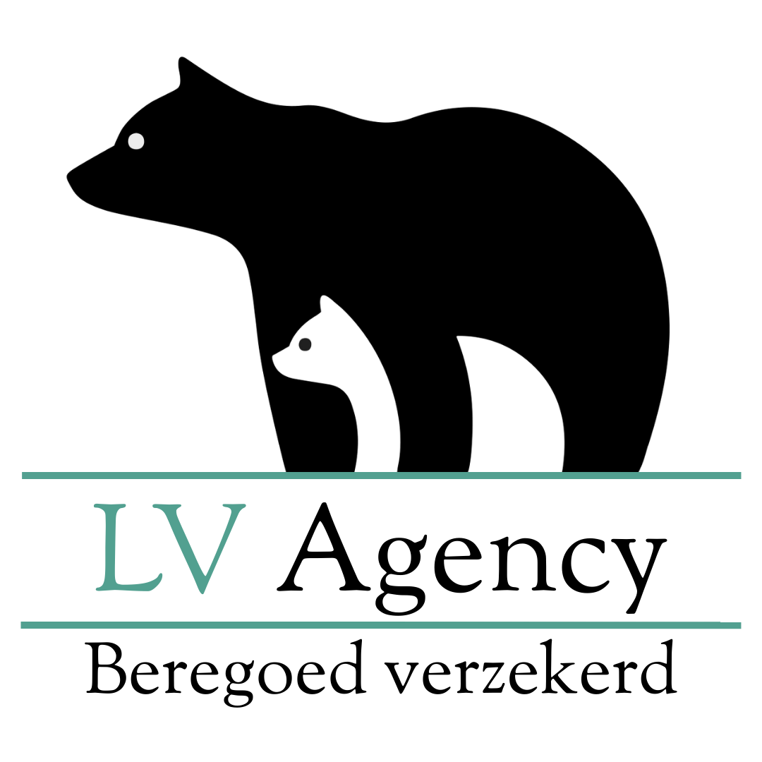 LV Agency logo